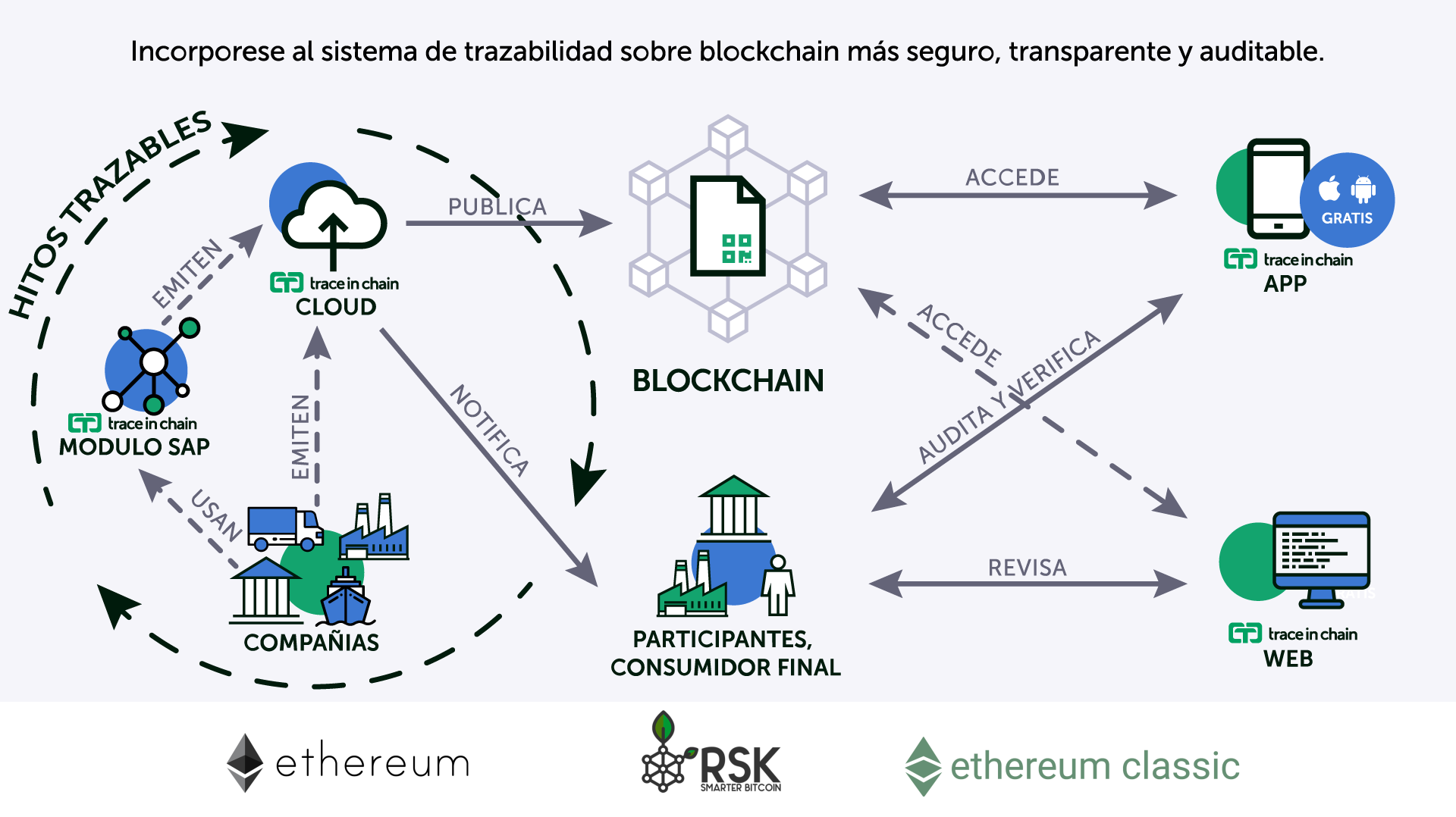 trace_es